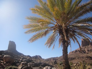 Marokko-217-300x225 in Trekkingtour durch den Jebel Saghro
