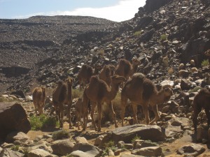 Marokko-228-300x225 in Trekkingtour durch den Jebel Saghro